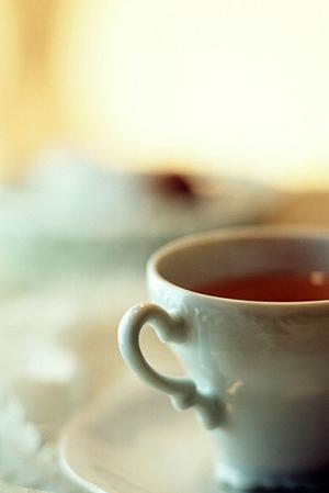 全てを網羅！TOKAIモバイルショップのサービスと店舗情報完全ガイド